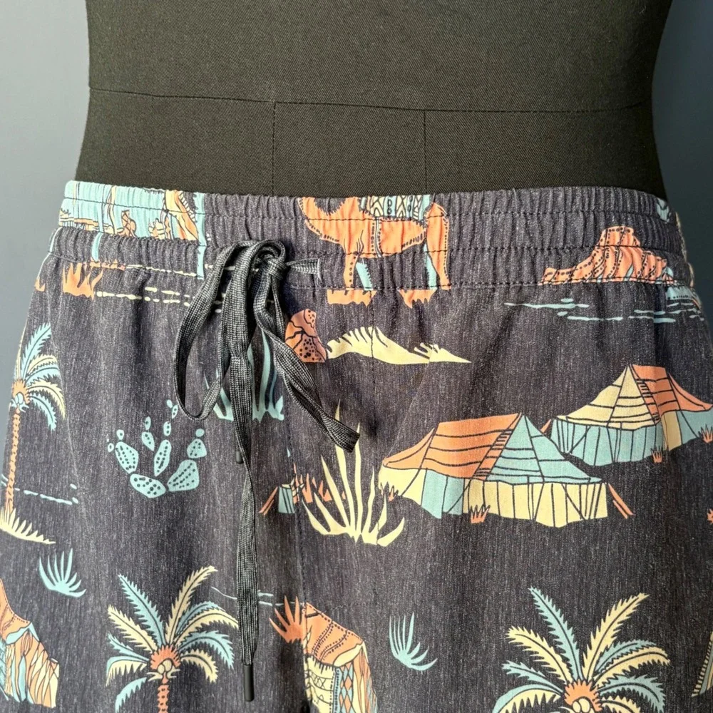Roark Revival Desert Graphic Board Shorts | 34‎ | Charcoal Swim Trunks